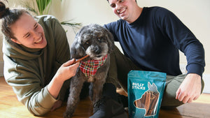 bully sticks happy family dog chew healthy dog treat that is long lasting